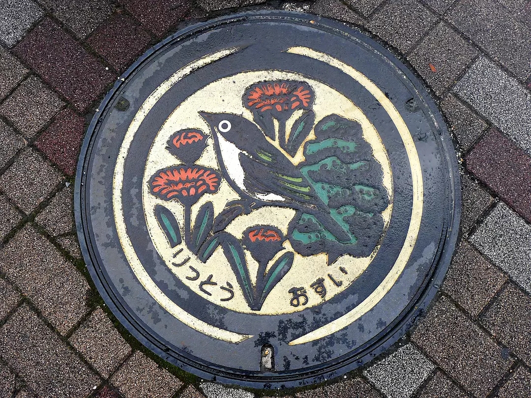 morita拍下了大量的日本窨井盖设计.