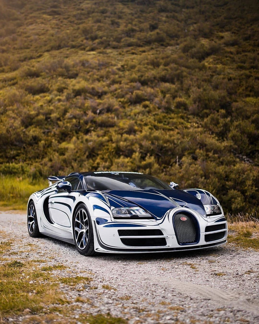 强大的运动气场 布加迪威航-新浪汽车