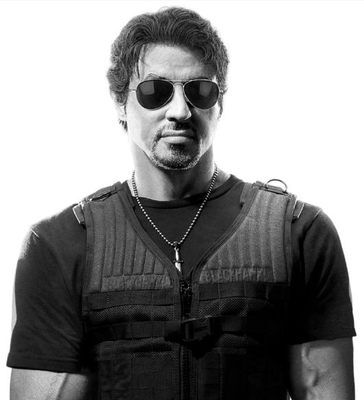 今天给大家汇总一下全球最能打的几个功夫巨星,如果全都认识的话,证明