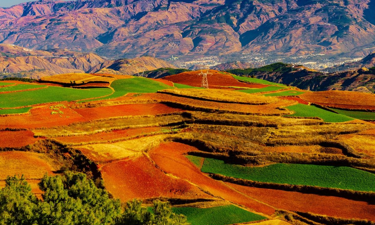 SEO技能提升 工作经历怎么写 兼职工作怎么描述