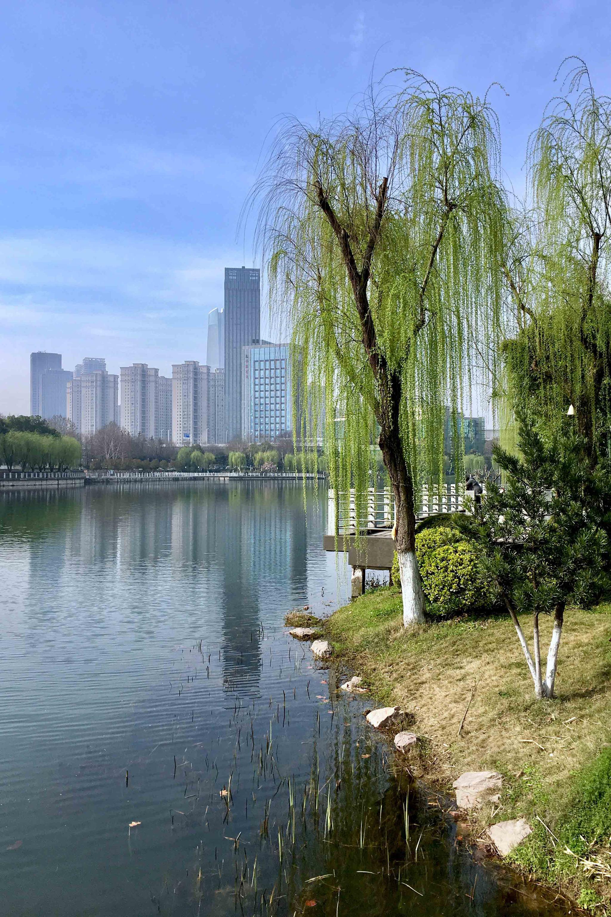 春风又绿江南岸后襄河公园小景湖北武汉江汉区