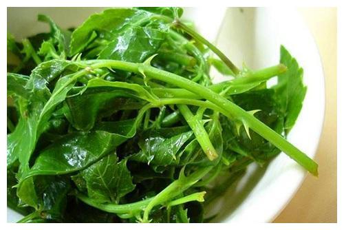 簕菜的作用丰富,不仅能够拿来食用,还可以晾干之后拿来制作成簕菜茶