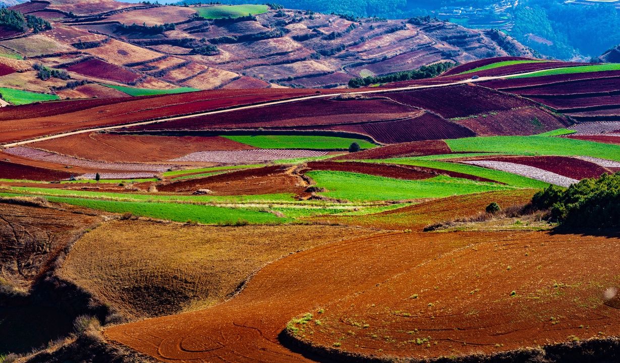 多彩的土地,颜色层次分明