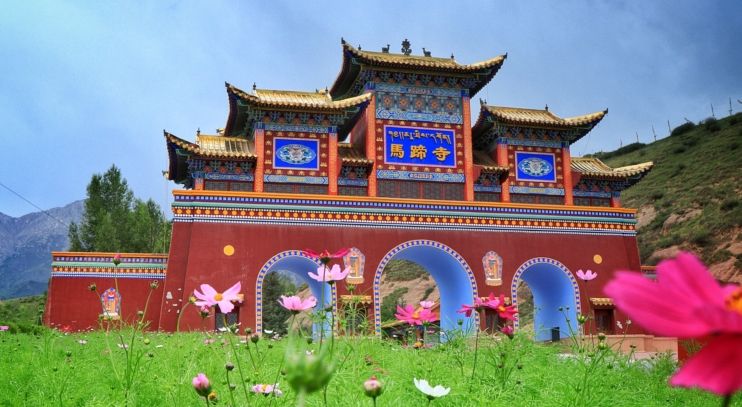 金塔寺我不是药神但我属于治愈系风景