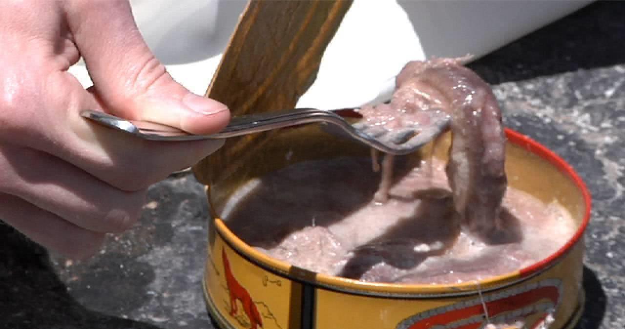 瑞典人示范鲱鱼罐头正宗吃法,你之所吃不惯,是因为你根本不会吃