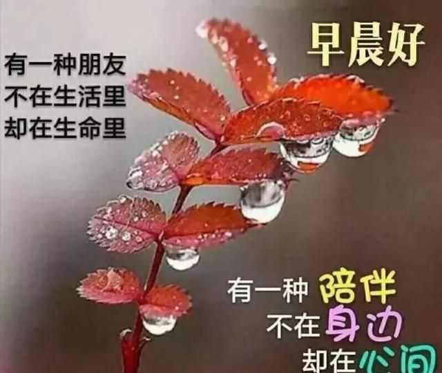 特温馨周五早上好问候图片,适合发朋友圈,祝你百事可乐
