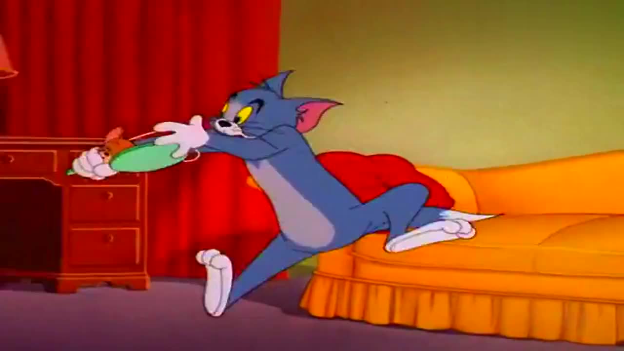 猫和老鼠:三只小猫太可爱,就是喜欢恶作剧连主人都不放过