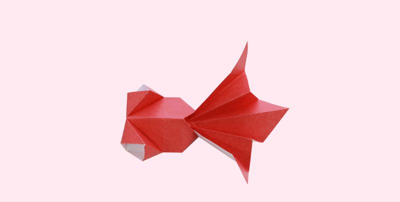 立体小金鱼折纸详细教程