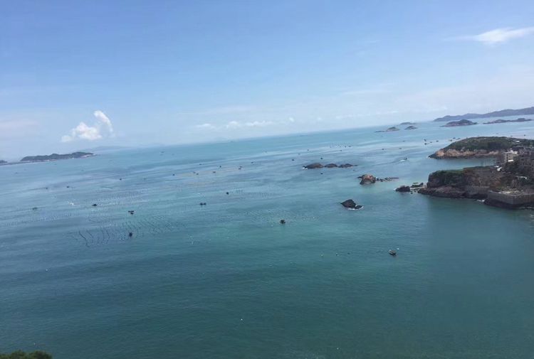 探秘电影