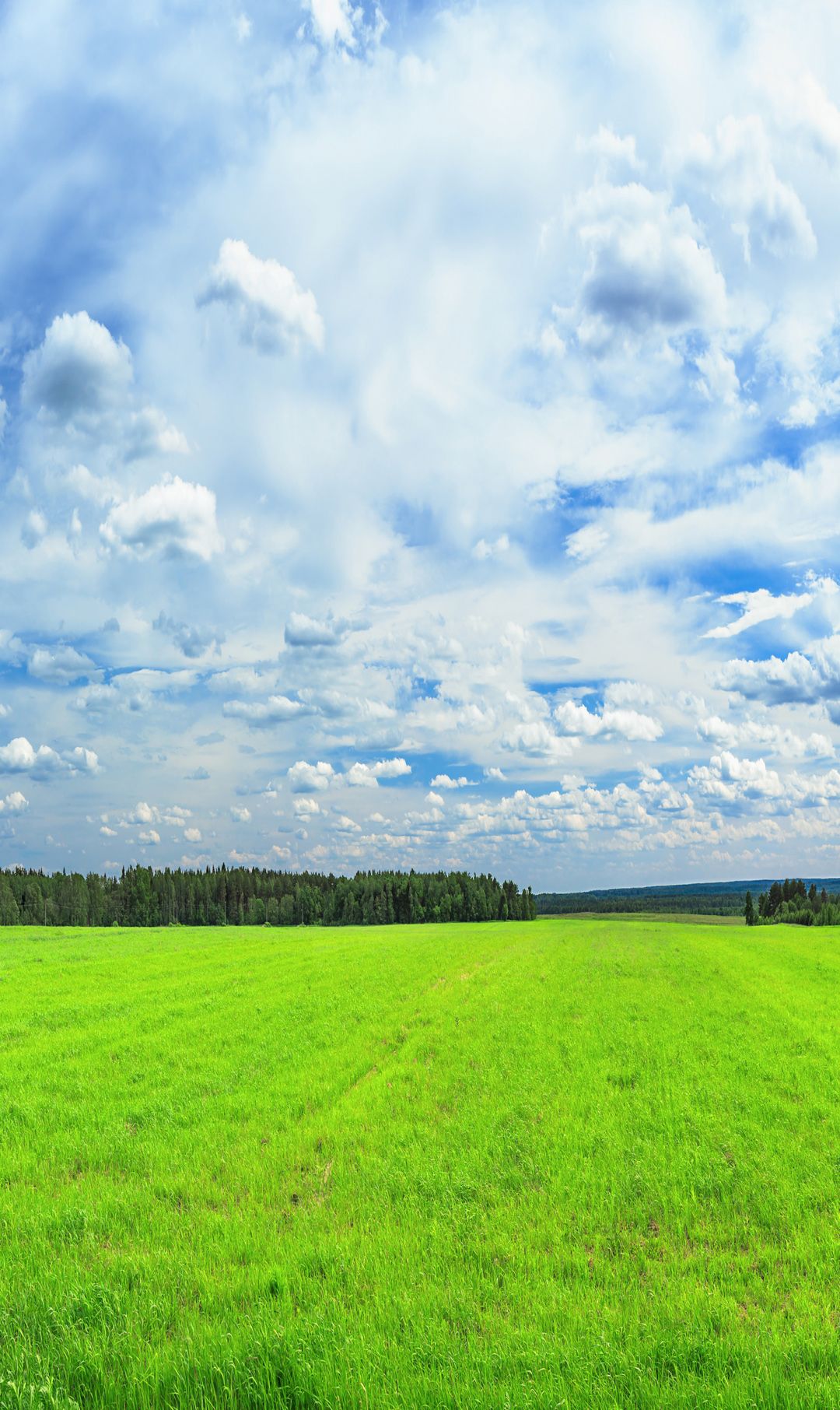 一组高清绿色草原壁纸,喜欢点赞关注吧.