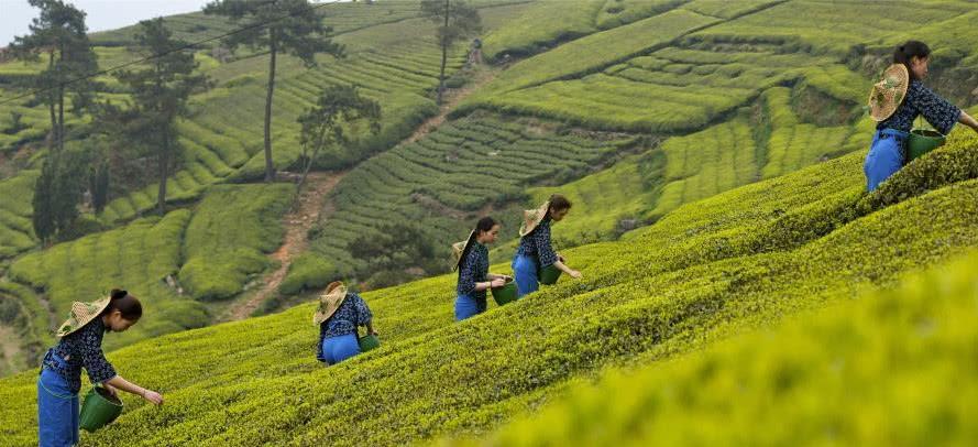 浙江省最容易读错的三个地名,小学生都认识,但大学生都读错|嵊州|地名