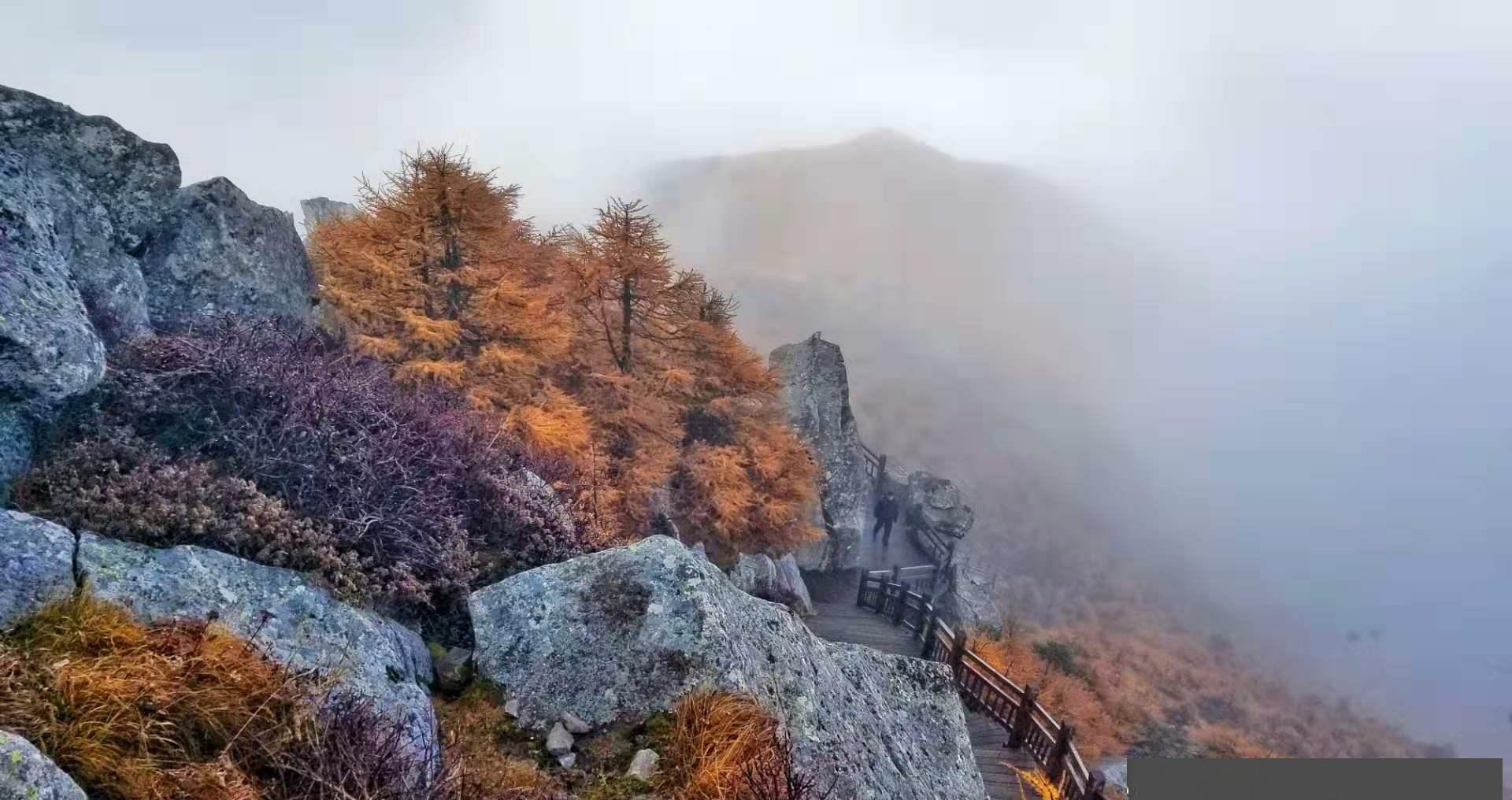 秦岭主峰太白山,中国内陆的雪域高原|仙台|西藏|第四纪冰川遗迹_新浪新闻