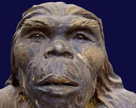 比姚明更高,出现时间比元谋人更早,它们会是人类的祖先吗?