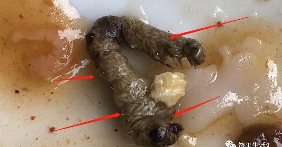 潮汕新式肠粉,重本下"冬虫夏草"