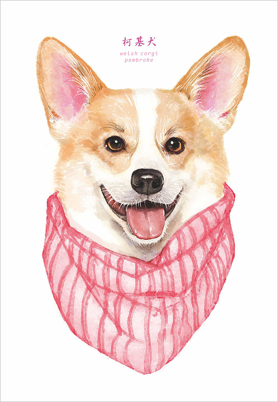 一大波萌宠来袭 春和绘原创手绘作品欣赏