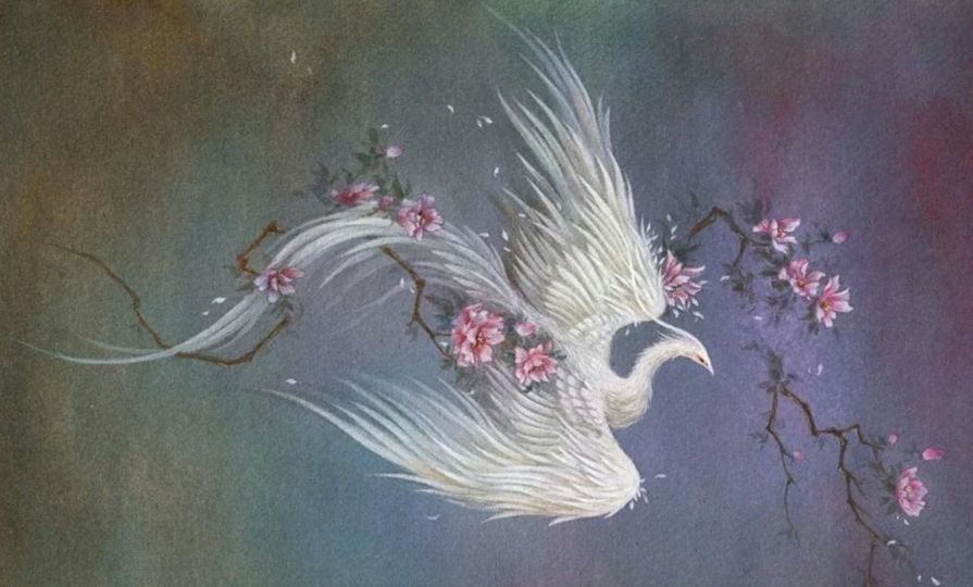 上古五大神鸟:重明鸟性情仗义,姑获鸟可化人形,毕方鸟乃是双神|凤凰