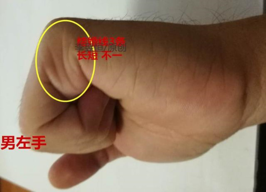 第二,左手三线德配,玉柱纹深长,恒心大,事业相对稳定;智慧线1/3处出现