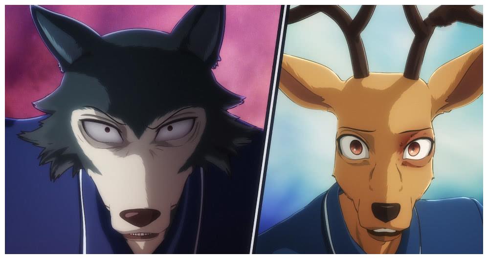 动物狂想曲凶手究竟是谁狼和兔的爱情发展史才是故事主线