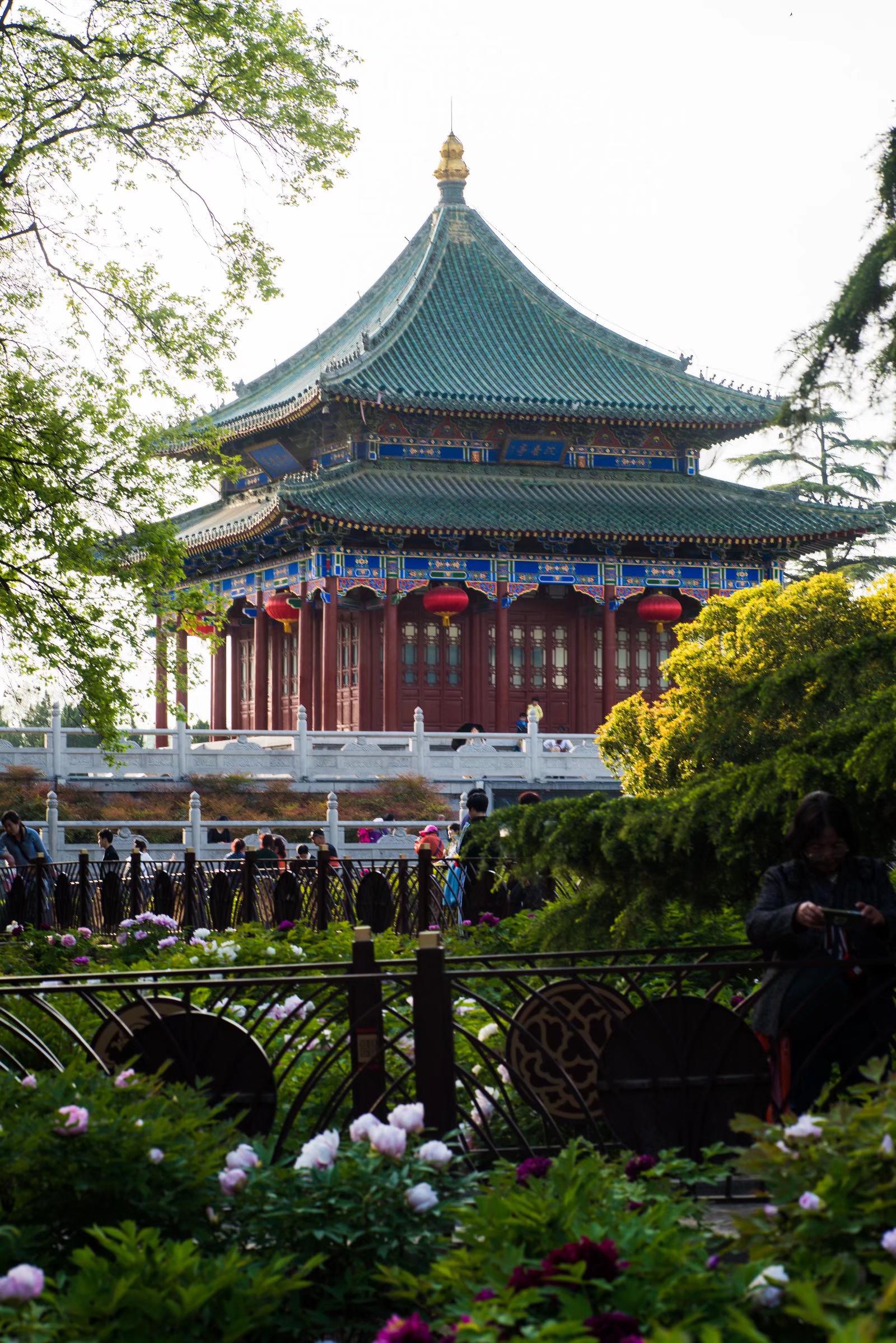 李隆基与杨玉环的爱情故事发生地,兴庆宫沉香亭下牡丹盛开