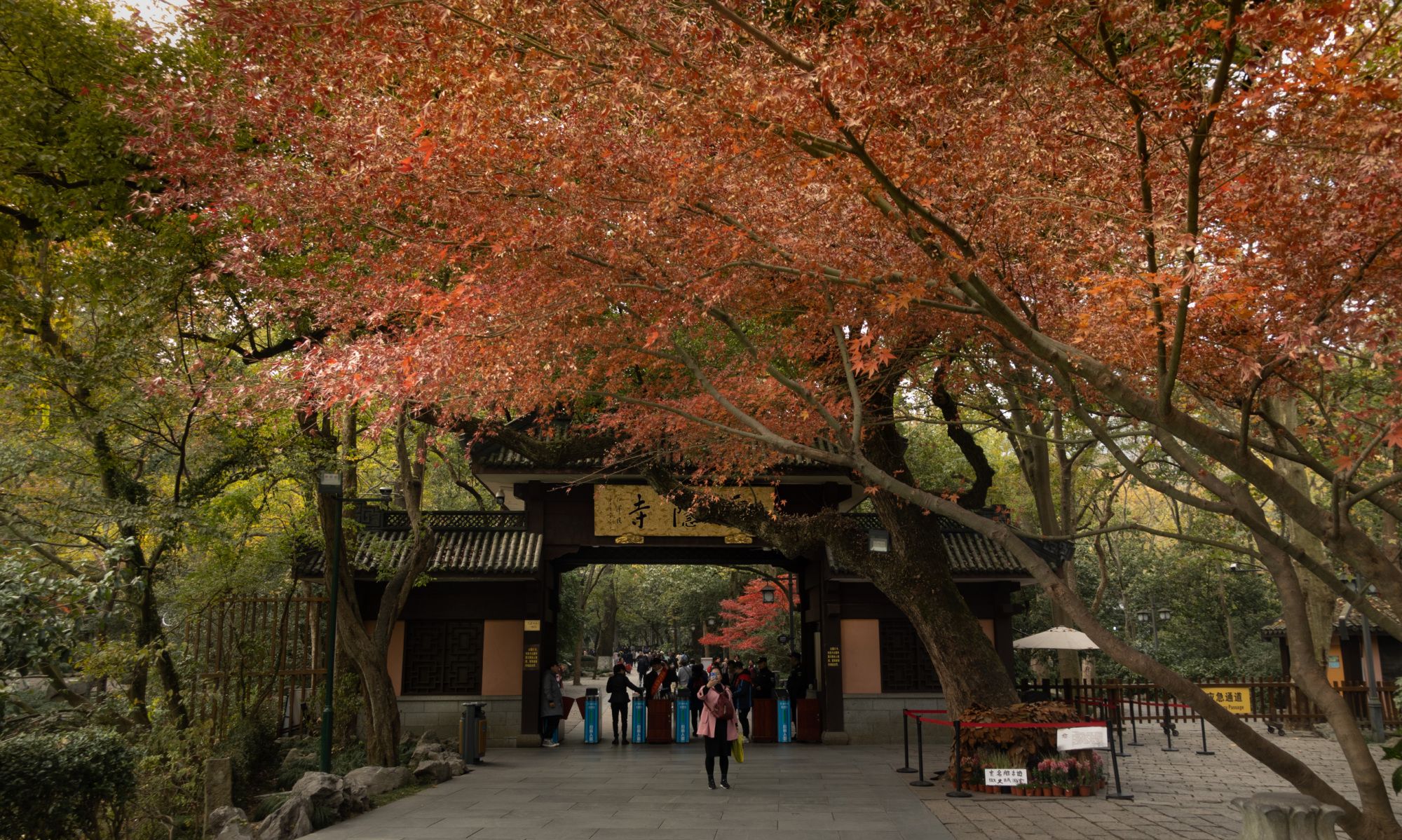 灵隐寺的秋色怎么样了?本周末真的可以去拍摄_高清图集_新浪网