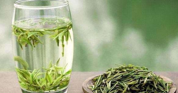 美食:安化松针茶,外形挺直细秀,中国特种绿茶中针形绿茶的代表
