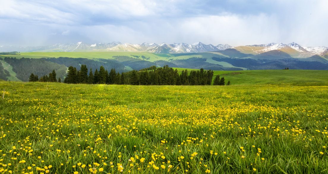 漂亮的伊利,你去过吗?|伊利|草原|那拉提草原_新浪新闻