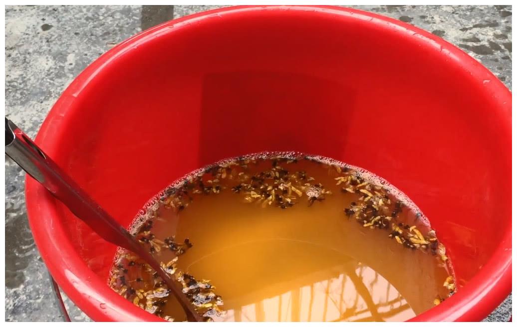 这才叫做农村特色小吃,用灰水和大米就可以做,蘸着辣椒吃很美味