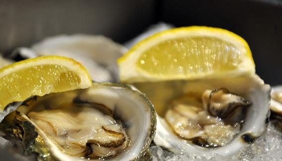 它被誉为海里的牛奶,还经常摆在高档餐厅,海边居民都吃腻了|生蚝|海鲜