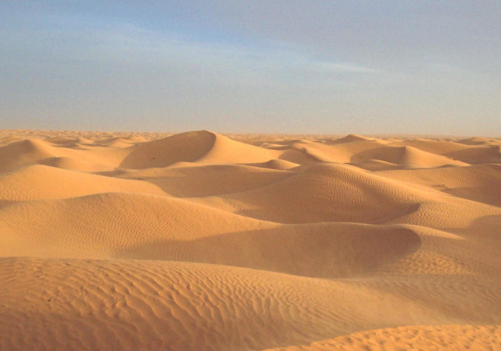 为啥不将海水引入沙漠会啥反应新疆朋友看完中东试验就怕了