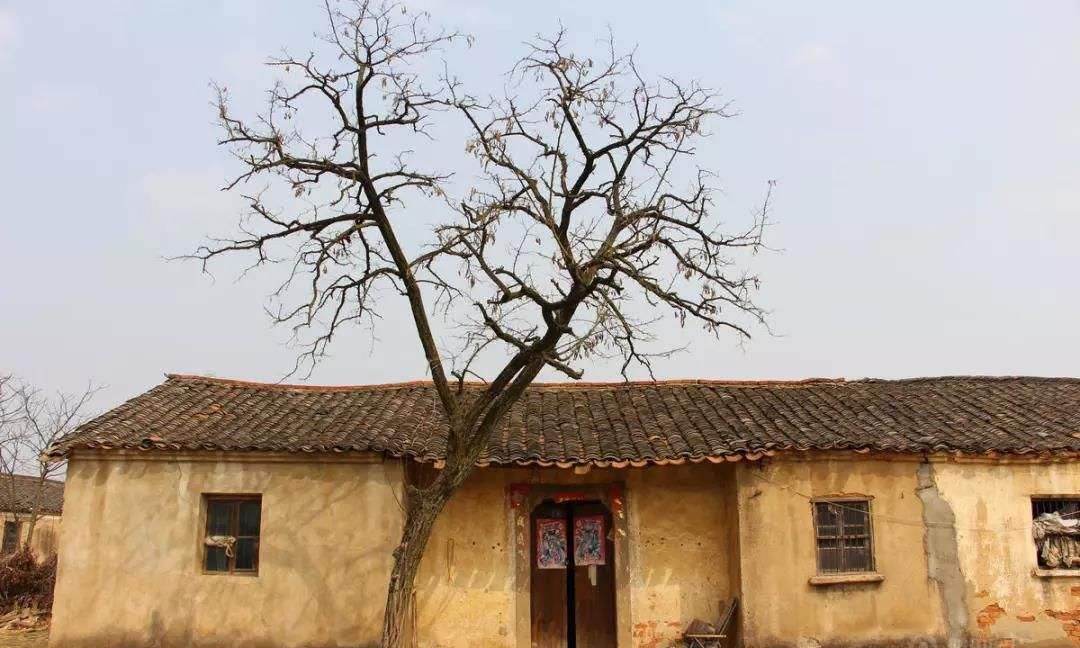 农村旧貌换新颜,土坯房变成砖瓦房,太舒坦