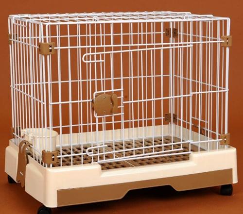 加菲猫流鼻涕浓稠流眼泪,加菲猫流鼻涕浓稠像猫鼻支