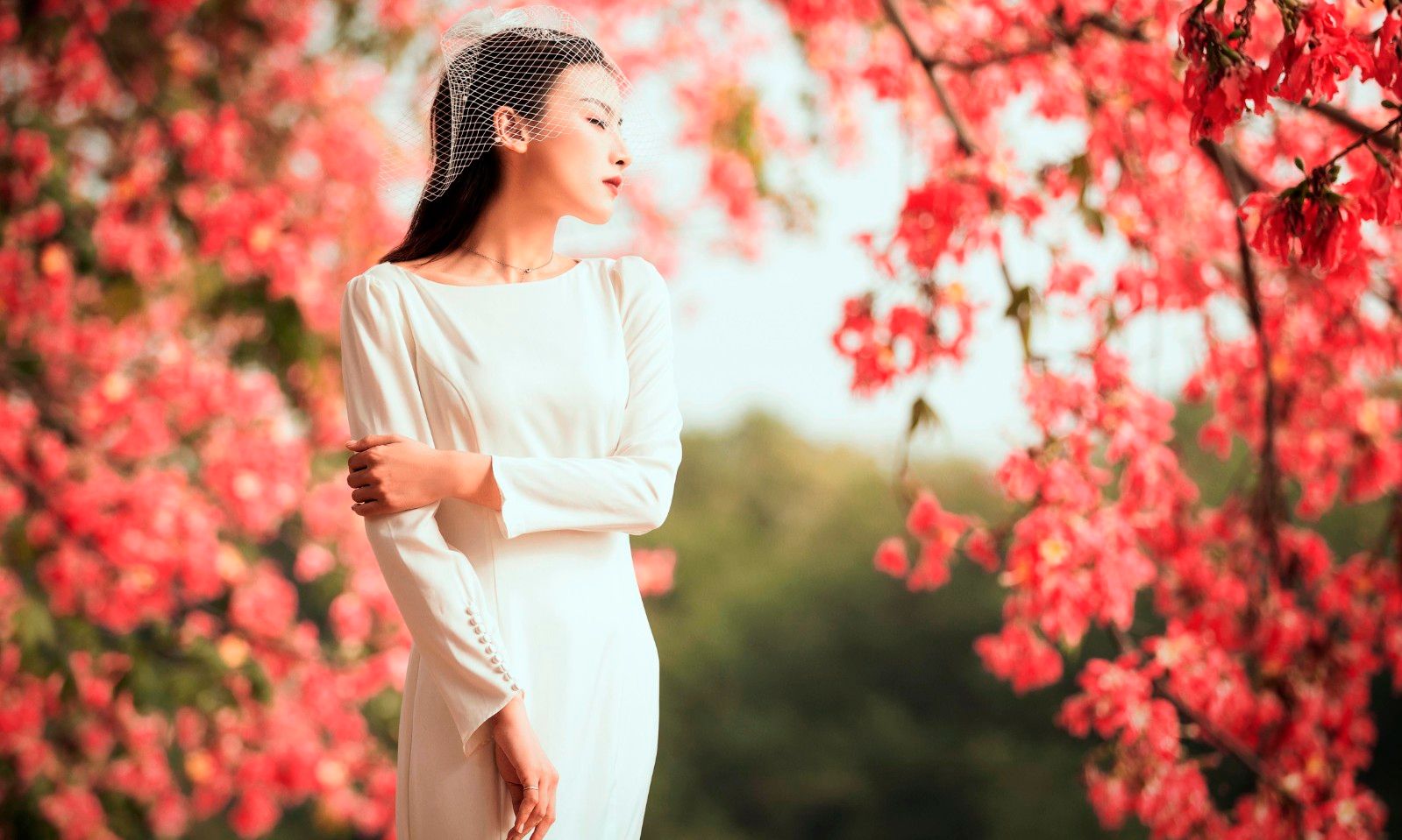 唯美花海女神 唯美花海女神