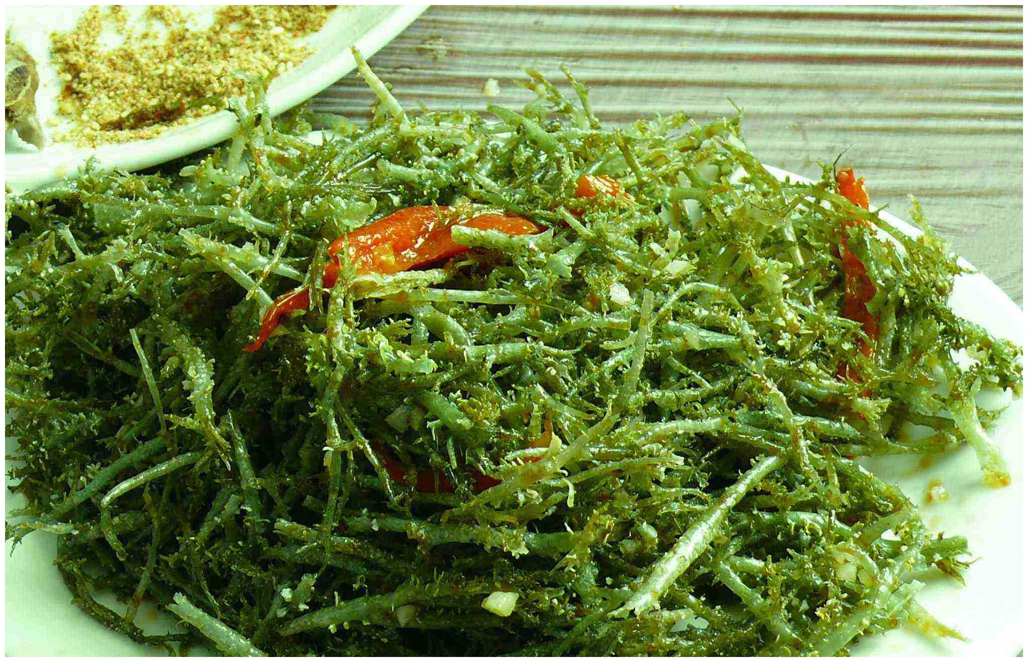 鹿角菜_鹿角菜最新消息,新闻,图片,视频_聚合阅读_新浪网