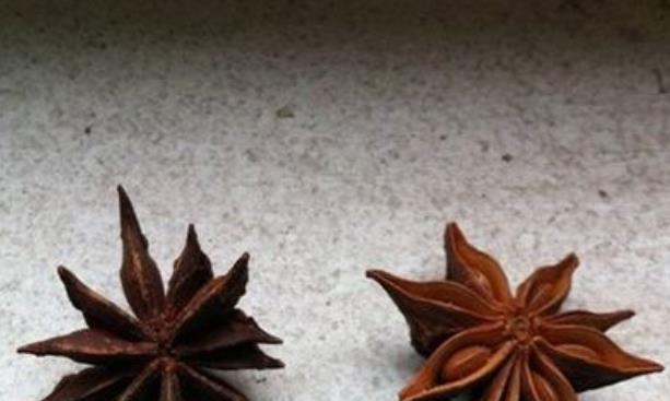 八角高裕 – 八角高裕 経歴 – QDWJAE