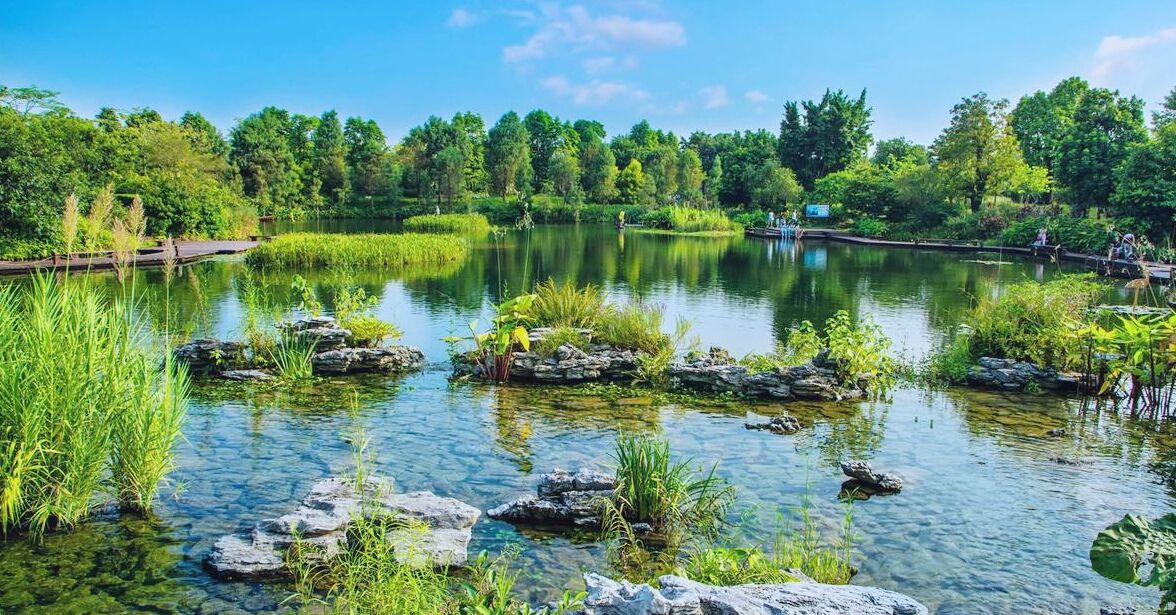 带你走进广州最美的海珠湿地公园,请你们欣赏美丽的风景啦