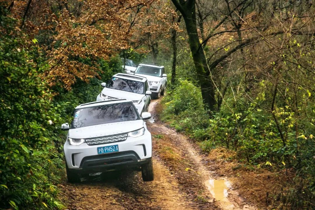 放"虎"归山 方见"路"之崎岖