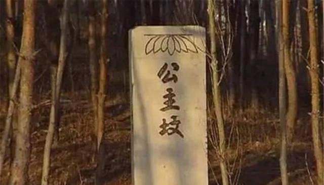 北京西三环“公主坟”到底有没有公主?修建地铁时真给挖了出来|公主坟|公主|皇陵_新浪新闻