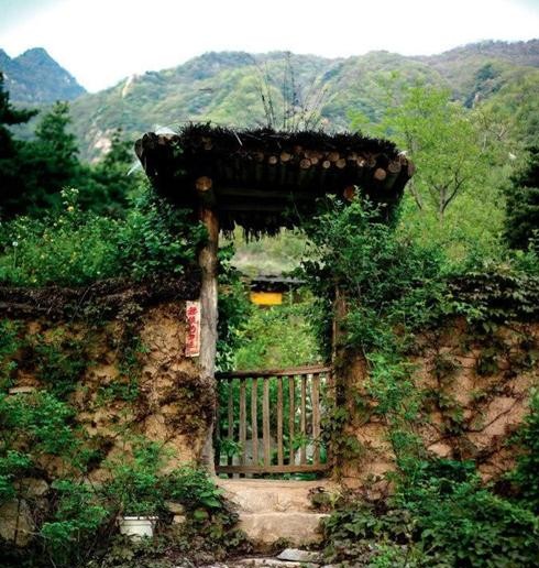 从白净小伙到胡子老人, 家人已经认不得|终南山|隐士|山林_新浪网