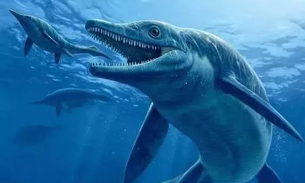 十大海洋恐龙,带你了解侏罗纪中的沧龙|滑齿龙|龙|鳍_新浪新闻
