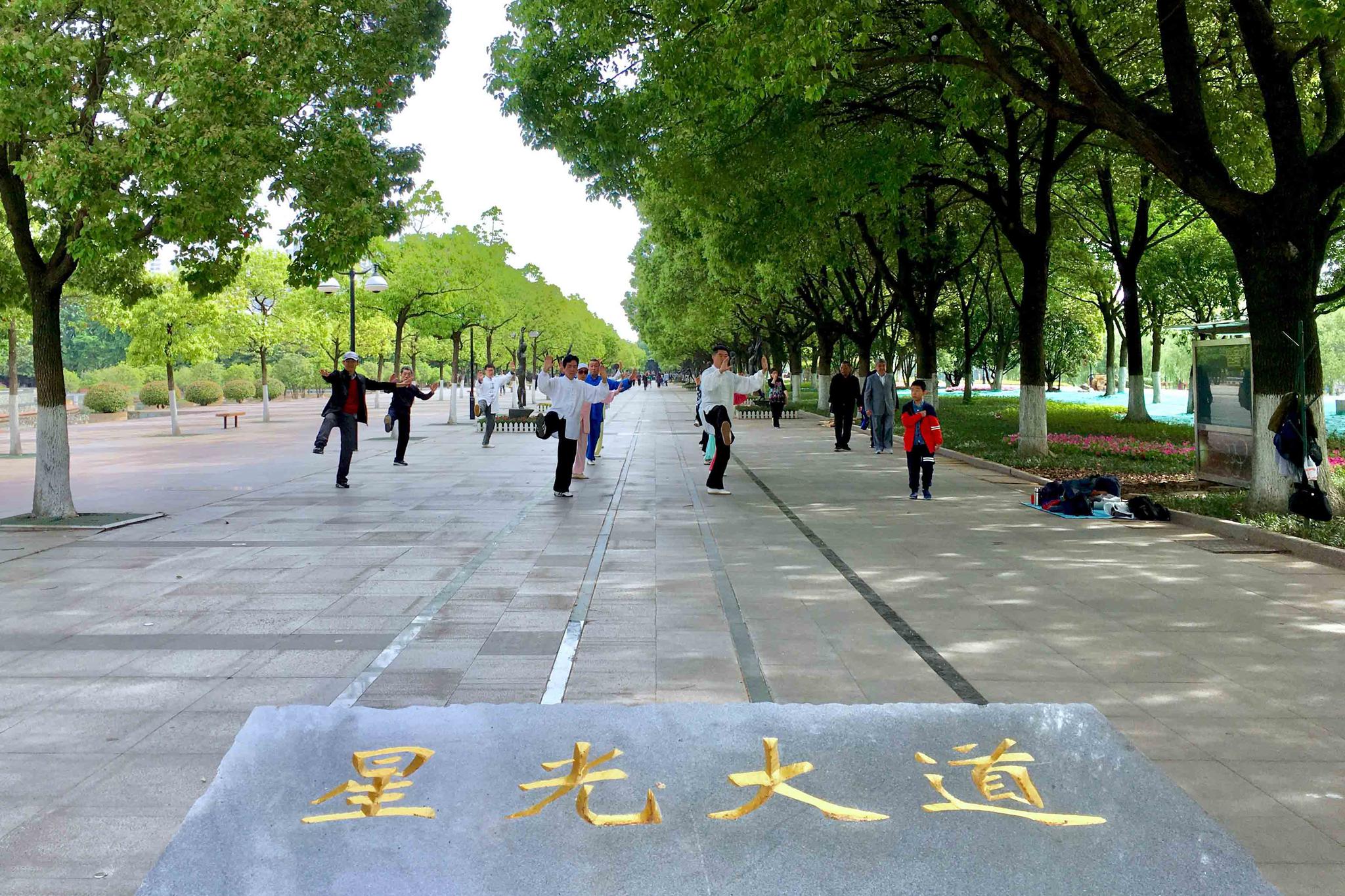 星光大道 英姿展现--湖北籍奥运冠军雕塑群(武汉 汉口江滩 )|汉口江滩|星光大道|英姿_新浪新闻