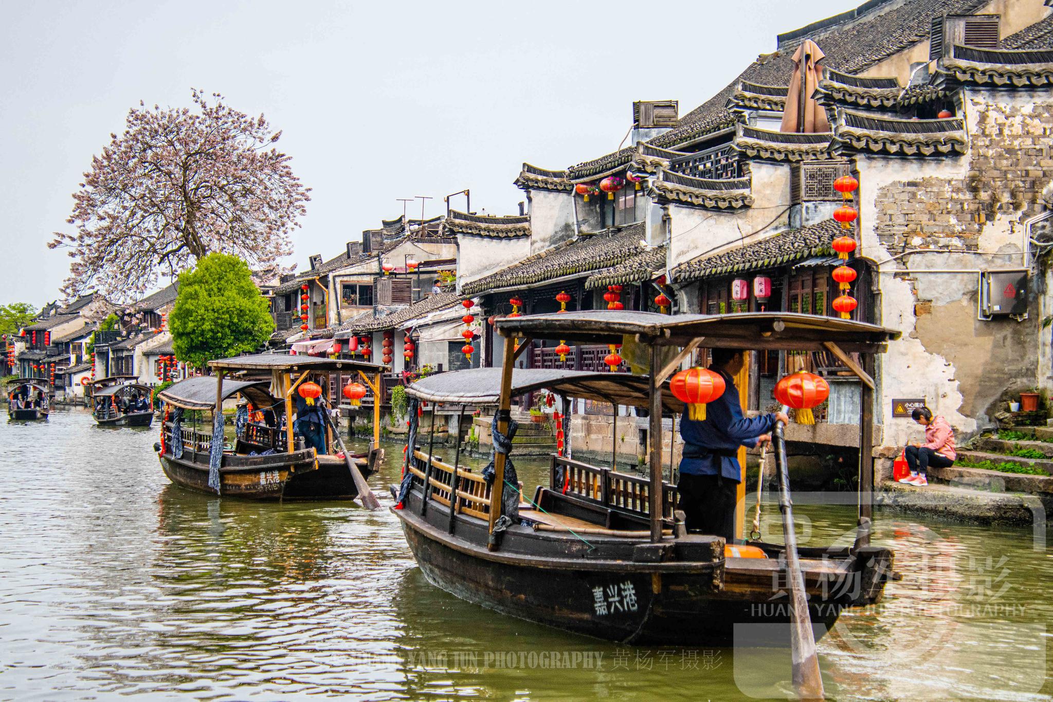 浙江嘉善县西塘古镇的水乡风光,摇橹船在河道里穿梭再现繁忙景象
