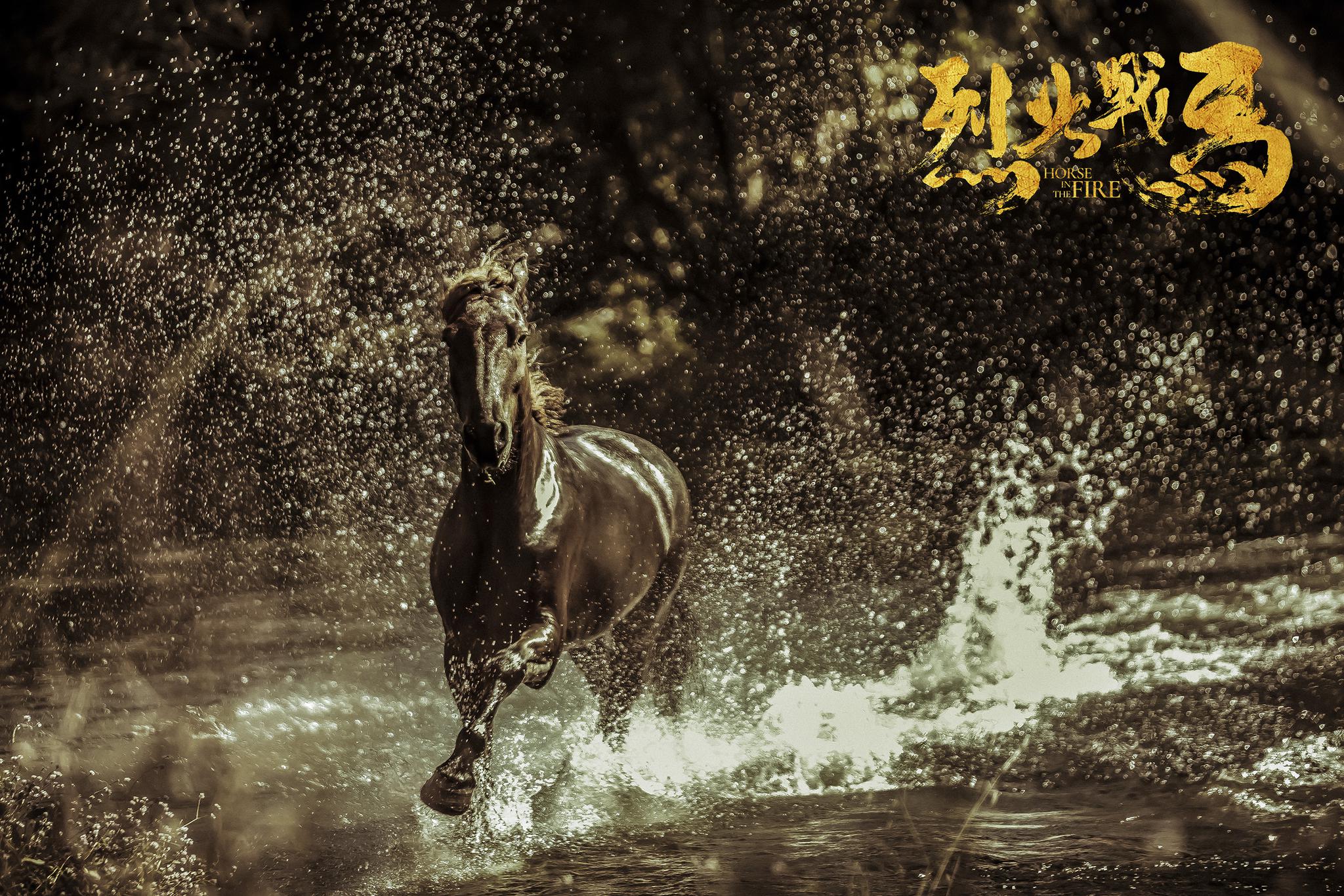 《烈火战马》曝"战马版"剧照 深情演绎别样"战友情"