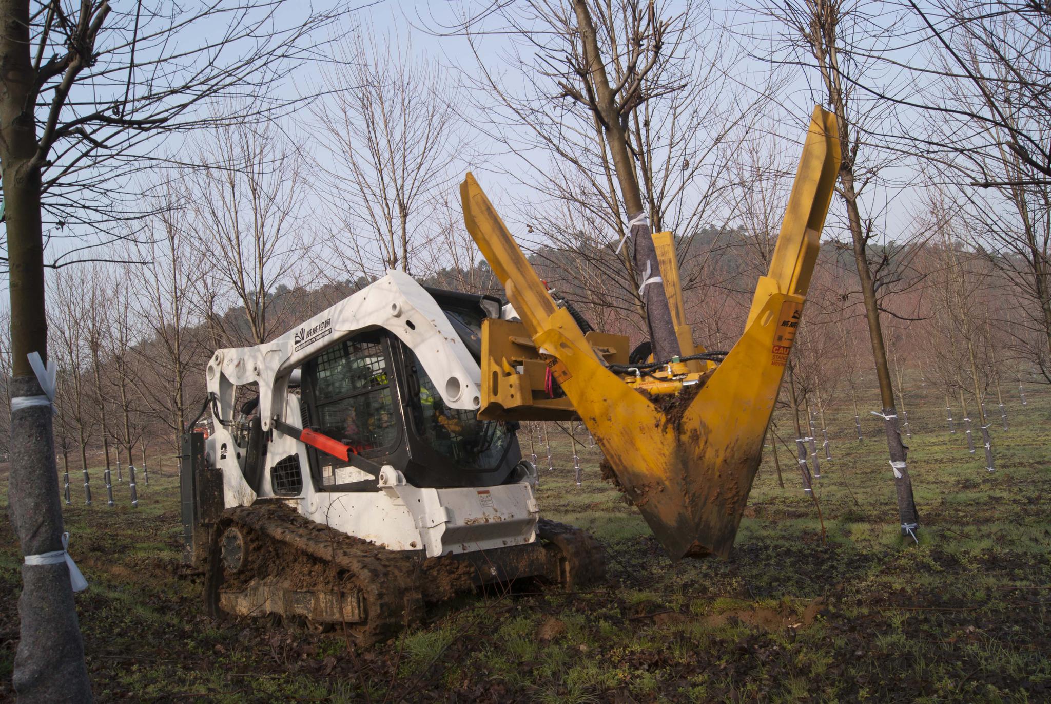 威威挖树机江西赣州作业威斯塔租赁以诚为贵