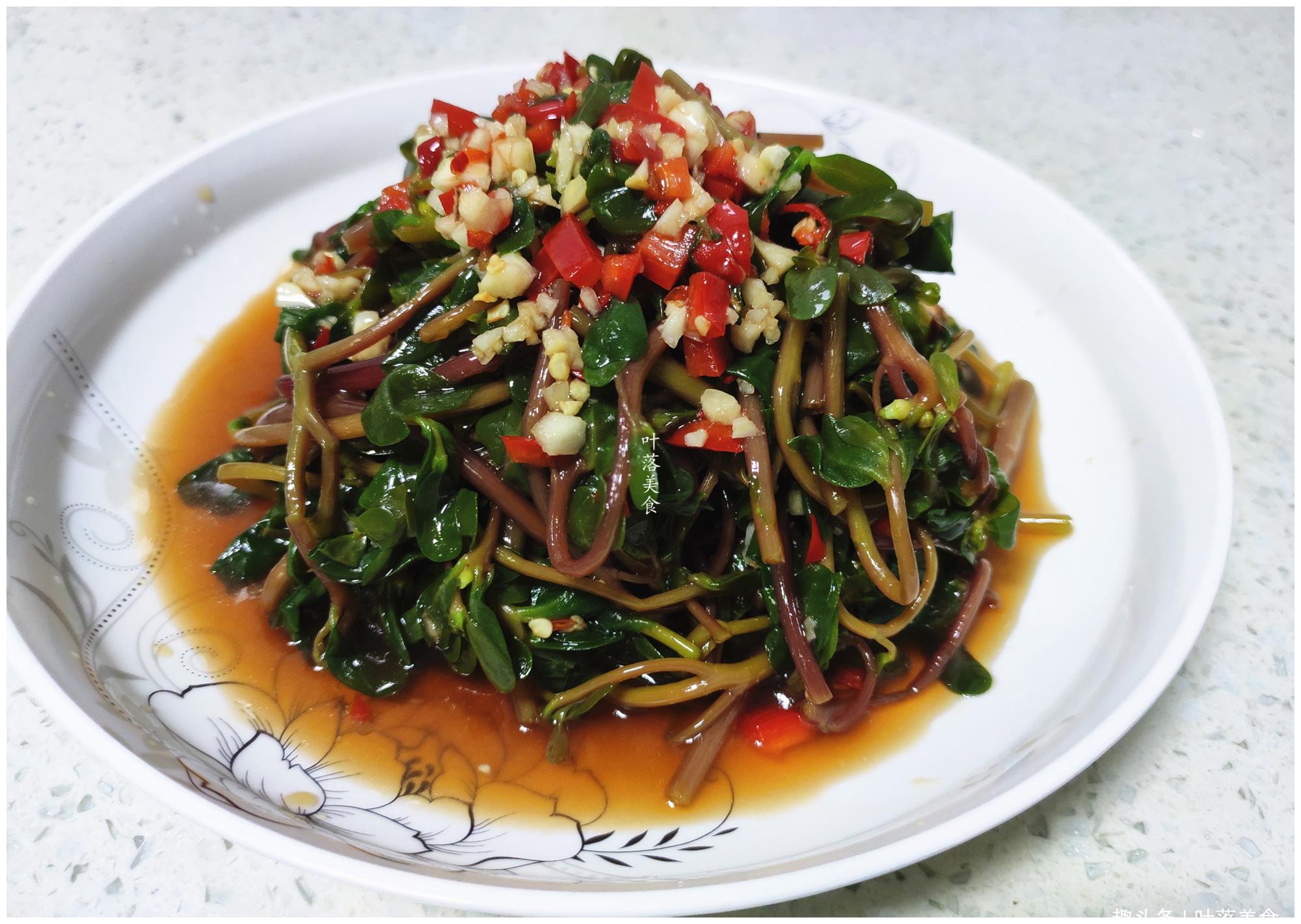 又到了吃马齿苋的季节新鲜的马齿苋凉拌清香脆嫩入口爽滑