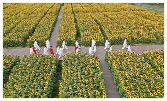 綺麗な趣味 花 すべての美しい花の画像 綺麗な趣味 花 すべての美しい花の画像