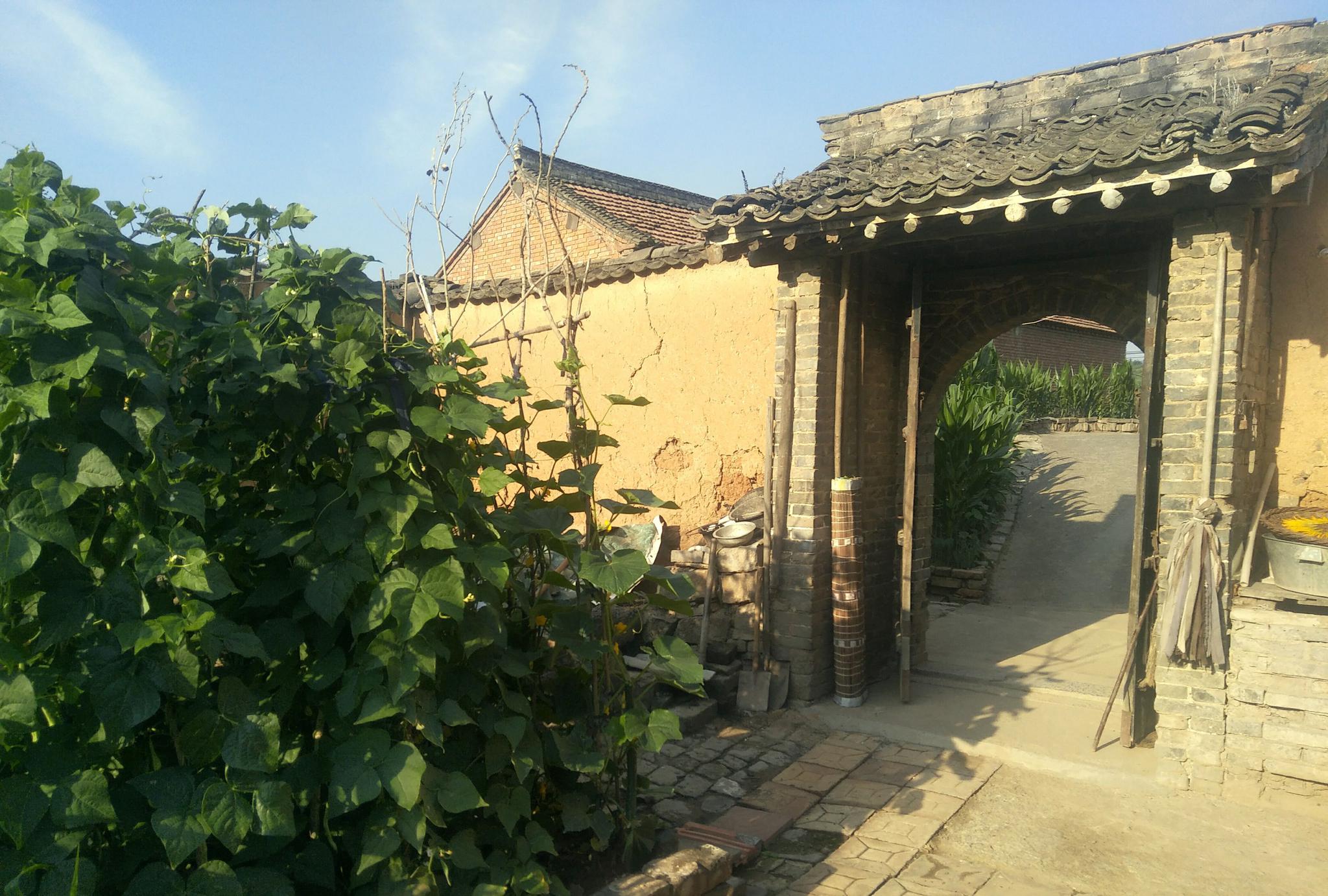 看惯了鸽子笼似的单元楼,却又怀念独门独户的农家小院|小院|农家|山村