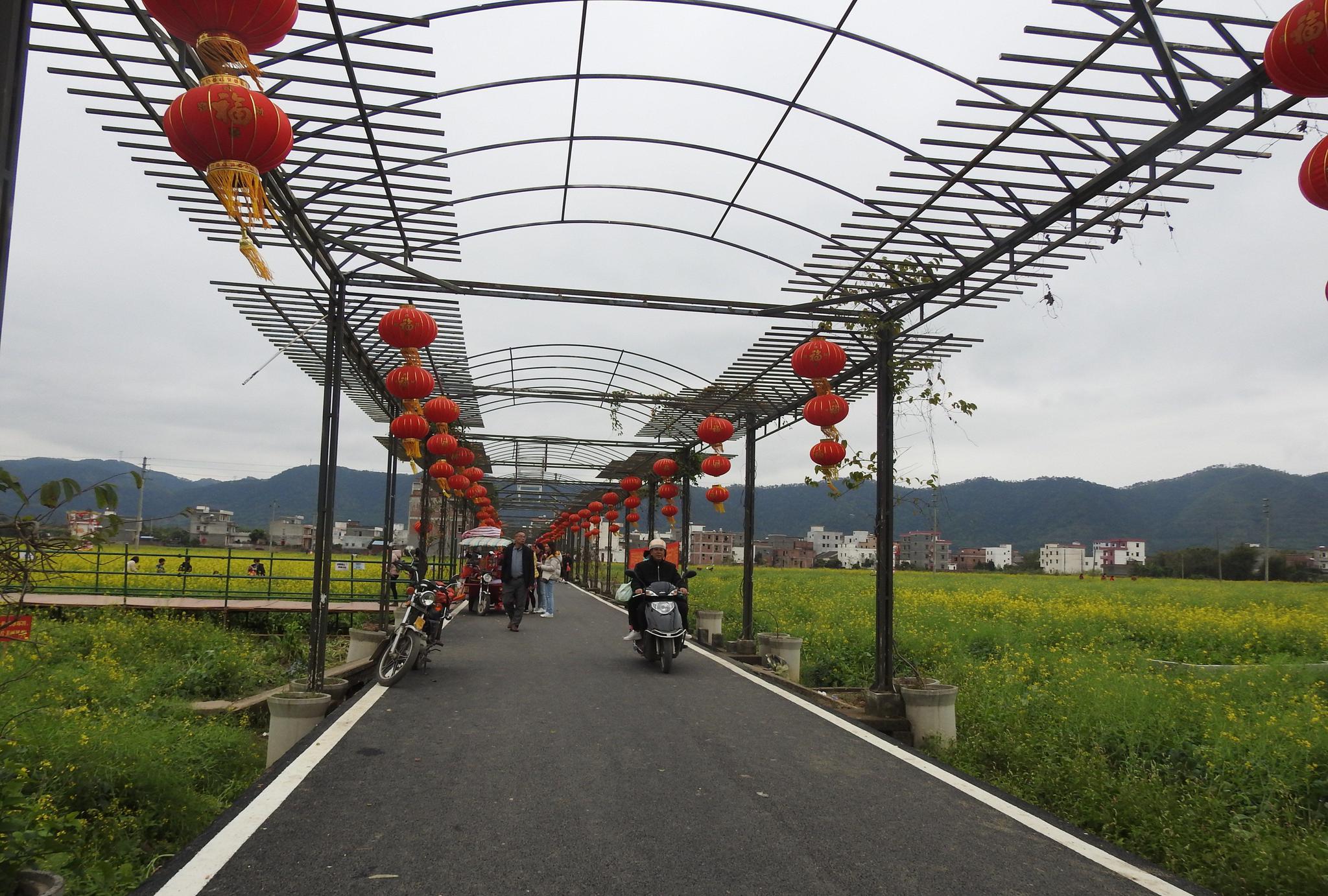 我们来到云浮市郁南县连滩镇兰寨村.