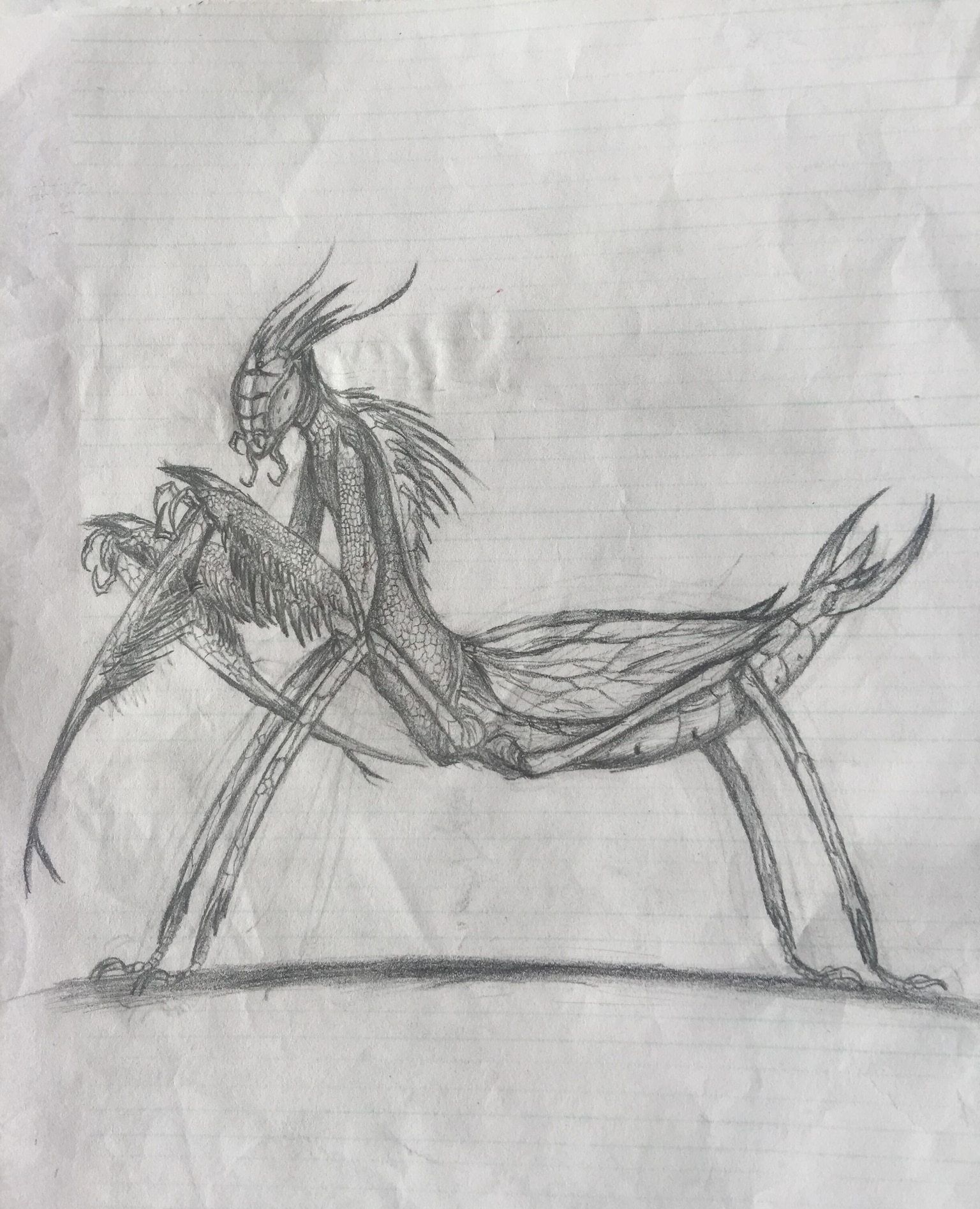 玩家画的南巨的简笔画.眼睛:我学会了.