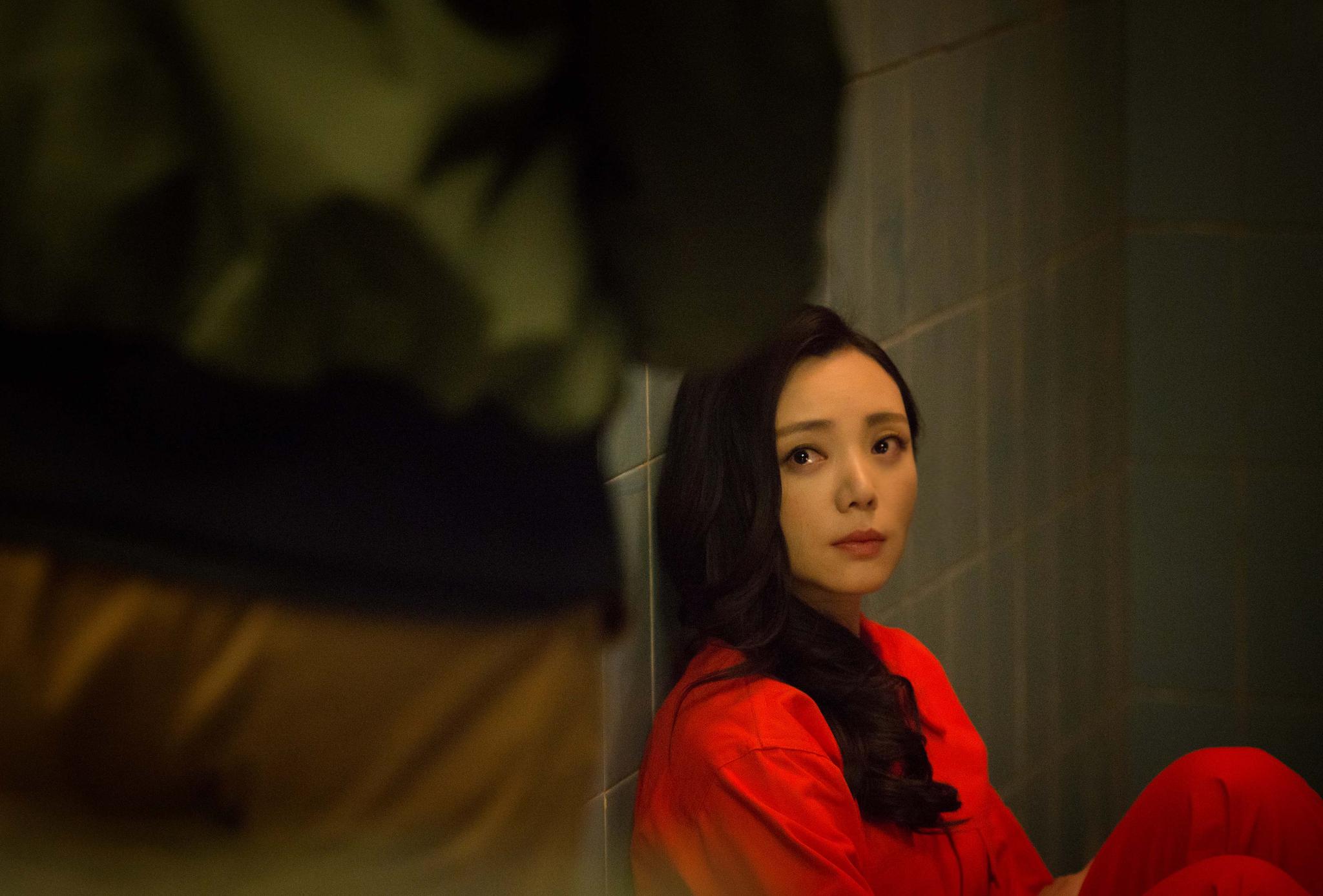 陶慧《动物管理局》开播 搭档陈赫王子文"斗智斗勇"