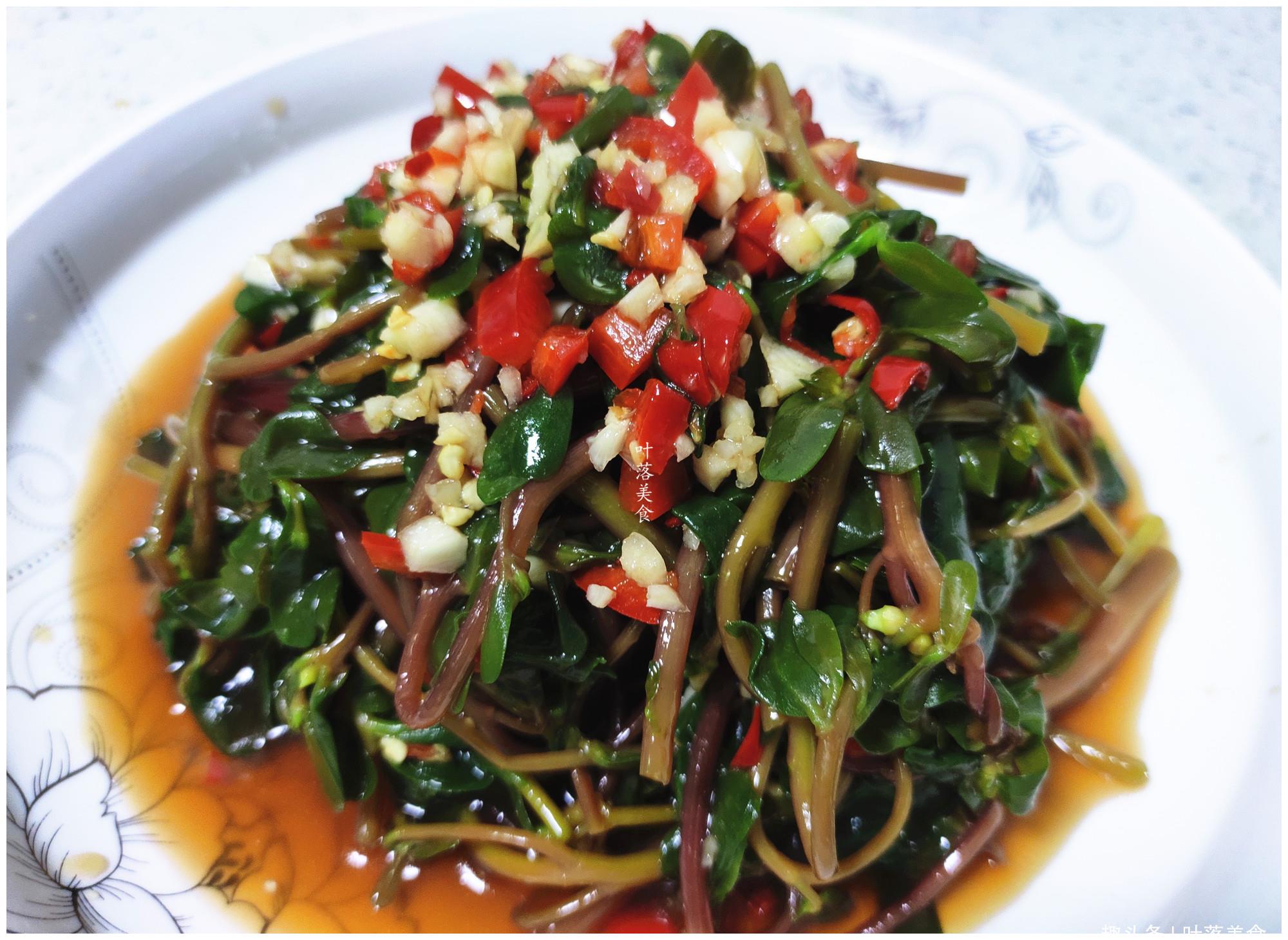 又到了吃马齿苋的季节新鲜的马齿苋凉拌清香脆嫩入口爽滑